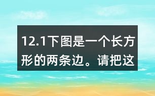 12.（1）下圖是一個(gè)長(zhǎng)方形的兩條邊。請(qǐng)把這個(gè)長(zhǎng)方形畫完整。