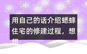 用自己的話介紹蟋蟀住宅的修建過程，想想為什么蟋蟀的住宅可以算是“偉大的工程”。