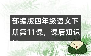 部編版四年級語文下冊第11課，課后知識擴(kuò)展：什么是白樺樹