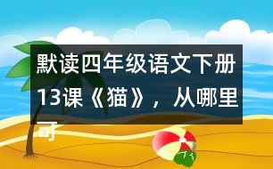 默讀四年級語文下冊13課《貓》，從哪里可以看出作者喜歡貓