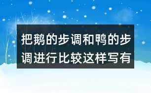 把鵝的步調和鴨的步調進行比較這樣寫有什么好處