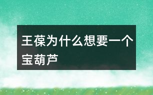 王葆為什么想要一個(gè)寶葫蘆