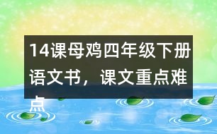 14課母雞四年級下冊語文書，課文重點難點筆記