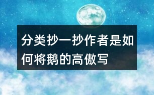 分類抄一抄作者是如何將鵝的“高傲”寫清楚的