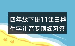 四年級下冊11課白樺生字注音專項練習答案