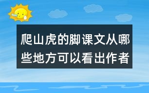 爬山虎的腳課文從哪些地方可以看出作者觀察的特別仔細(xì)？