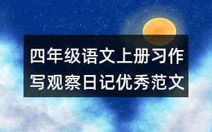 四年級語文上冊習(xí)作：寫觀察日記優(yōu)秀范文2則