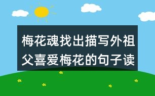 梅花魂找出描寫(xiě)外祖父喜愛(ài)梅花的句子讀一讀，體會(huì)這些句子對(duì)表達(dá)外祖父的思鄉(xiāng)之情有什么好處。