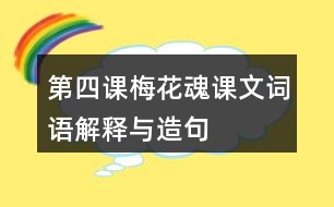 第四課梅花魂課文詞語解釋與造句