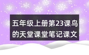 五年級(jí)上冊(cè)第23課鳥(niǎo)的天堂課堂筆記課文分段