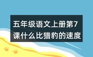 五年級語文上冊第7課什么比獵豹的速度更快課堂筆記之本課重難點