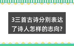 3、三首古詩分別表達了詩人怎樣的志向?表達的方法有什么共同特點?