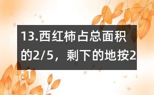13.西紅柿占總面積的2/5，剩下的地按2:1的比種黃瓜和茄子。