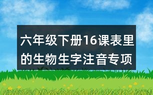 六年級(jí)下冊(cè)16課表里的生物生字注音專項(xiàng)練習(xí)