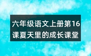 六年級(jí)語(yǔ)文上冊(cè)第16課夏天里的成長(zhǎng)課堂筆記本課知識(shí)點(diǎn)