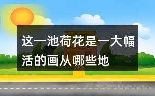 這一池荷花是“一大幅活的畫”從哪些地方體會(huì)到