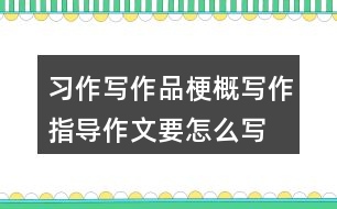 習(xí)作：寫作品梗概寫作指導(dǎo)作文要怎么寫