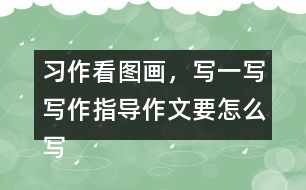 習(xí)作：看圖畫，寫一寫寫作指導(dǎo)作文要怎么寫