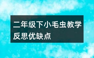 二年級下小毛蟲教學(xué)反思優(yōu)缺點(diǎn)