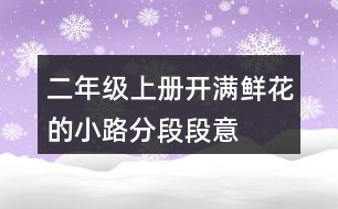 二年級(jí)上冊(cè)開滿鮮花的小路分段段意