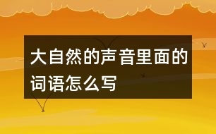 大自然的聲音里面的詞語怎么寫