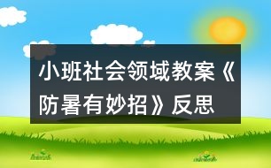 小班社會(huì)領(lǐng)域教案《防暑有妙招》反思