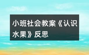 小班社會教案《認(rèn)識水果》反思