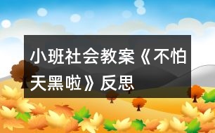 小班社會(huì)教案《不怕天黑啦》反思