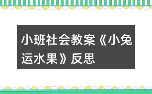 小班社會教案《小兔運水果》反思