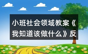 小班社會(huì)領(lǐng)域教案《我知道該做什么》反思