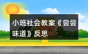 小班社會教案《嘗嘗味道》反思