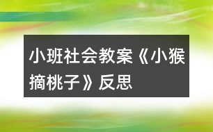 小班社會教案《小猴摘桃子》反思