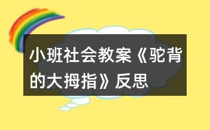 小班社會(huì)教案《駝背的大拇指》反思