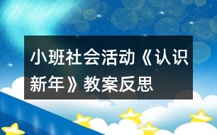 小班社會活動(dòng)《認(rèn)識新年》教案反思