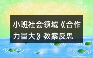 小班社會領(lǐng)域《合作力量大》教案反思