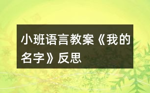 小班語言教案《我的名字》反思