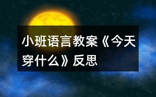 小班語言教案《今天穿什么》反思