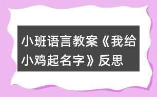 小班語(yǔ)言教案《我給小雞起名字》反思