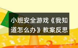 小班安全游戲《我知道怎么辦》教案反思