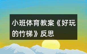 小班體育教案《好玩的竹梯》反思