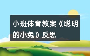 小班體育教案《聰明的小兔》反思