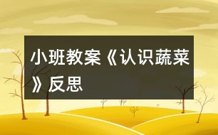 小班教案《認識蔬菜》反思