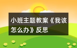 小班主題教案《我該怎么辦》反思