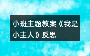 小班主題教案《我是小主人》反思