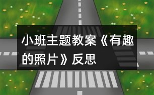 小班主題教案《有趣的照片》反思