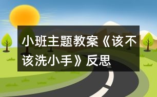 小班主題教案《該不該洗小手》反思