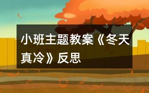 小班主題教案《冬天真冷》反思