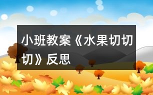 小班教案《水果切切切》反思