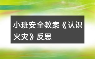 小班安全教案《認(rèn)識(shí)火災(zāi)》反思