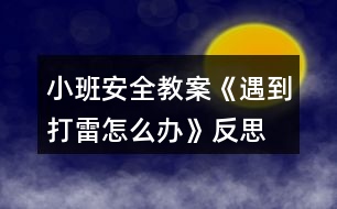 小班安全教案《遇到打雷怎么辦》反思